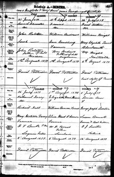 File:Ontario Births Muskoka 1879 016470.jpg