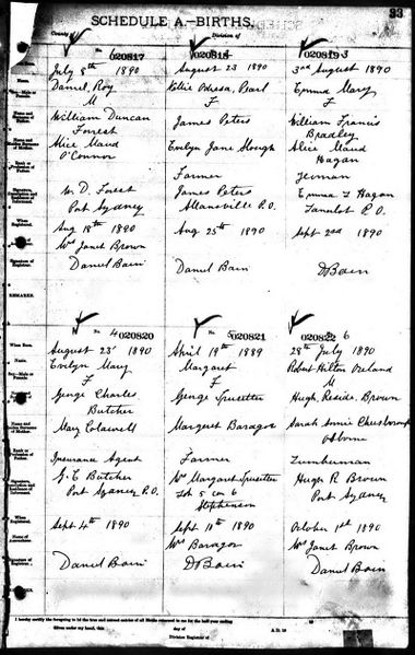 File:Ontario Births Muskoka 1890 020817.jpg