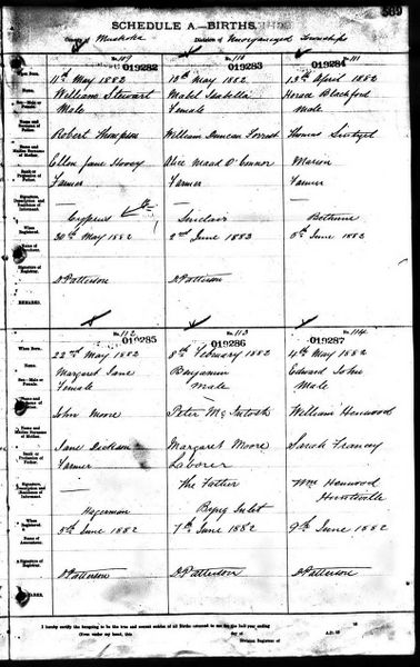 File:Ontario Births Muskoka 1882 019283.jpg